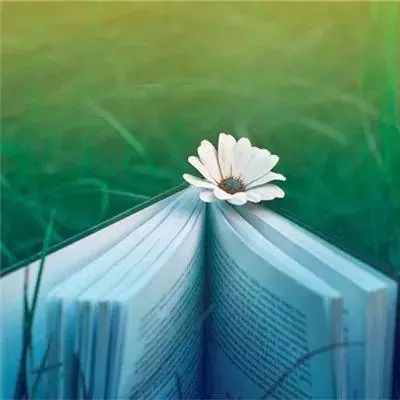 凤归九幽官方版下载
