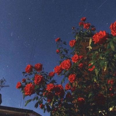 手游梦幻仙剑私服下载